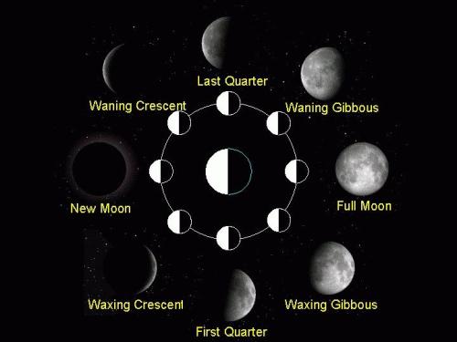 moonPhases